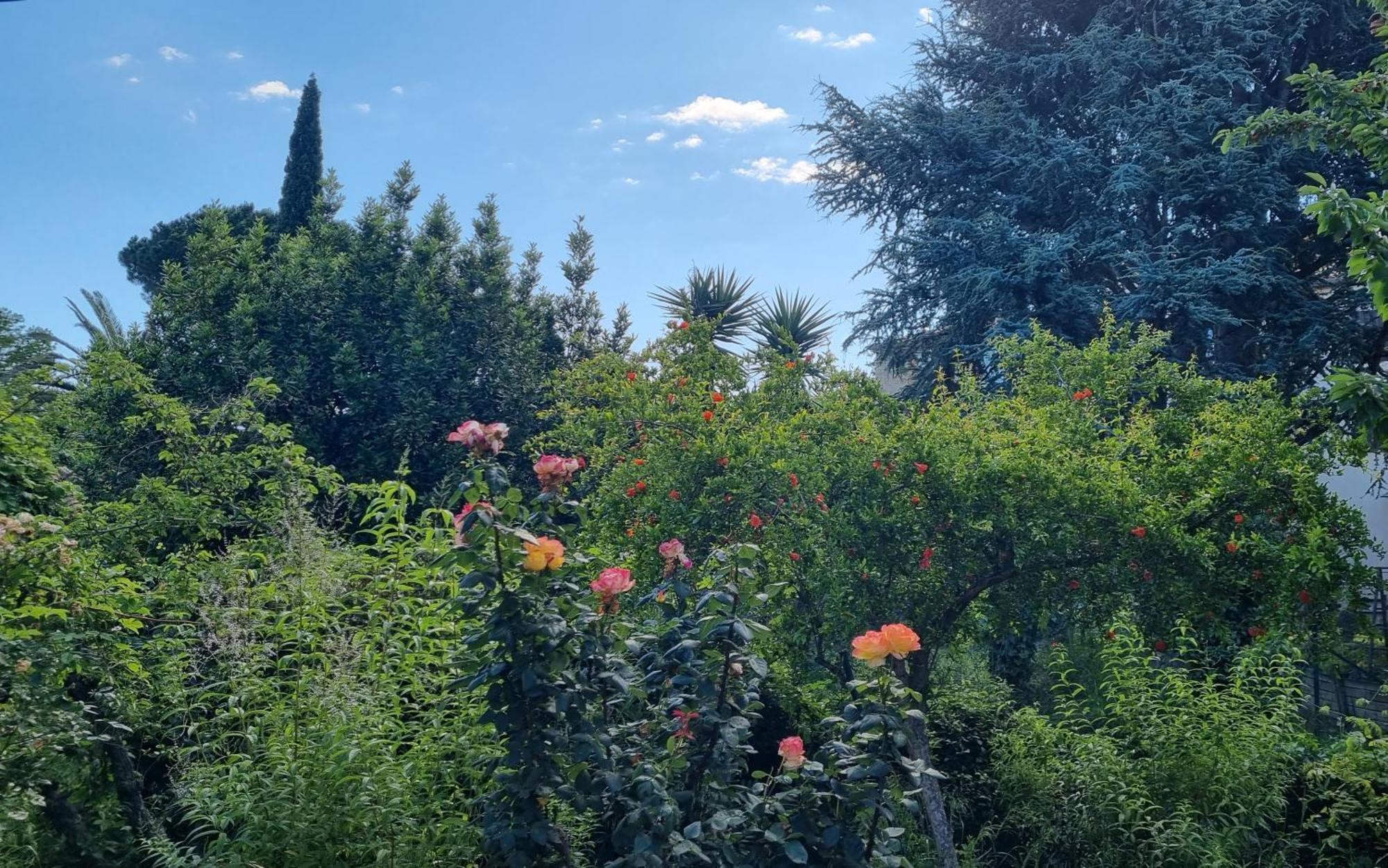 Villa El Correc Laroque-des-Albères Exteriör bild